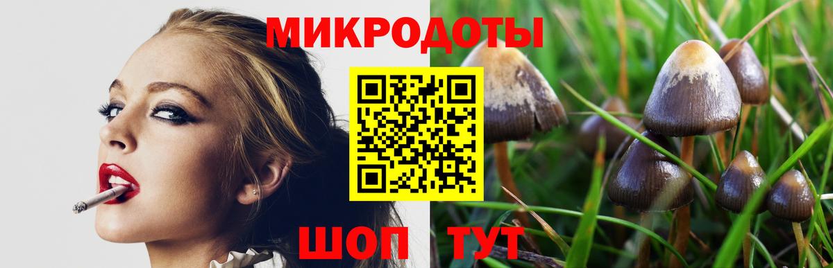 Архангельск  Галлюциногенные грибы Psilocybe  Вход с VPN 